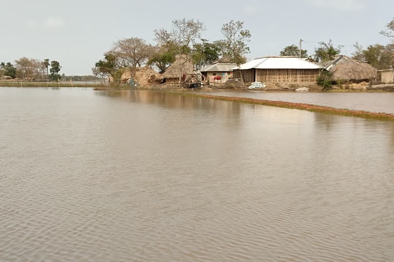 cyclone-yaas-damage-assessment-is-underway in-Balasore