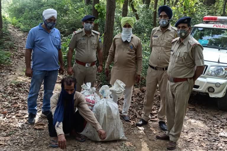 police recovered 40 Kg ganja