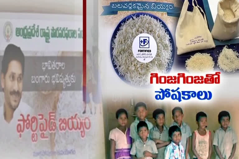 Fortified Rice Distribution in Vizianagaram