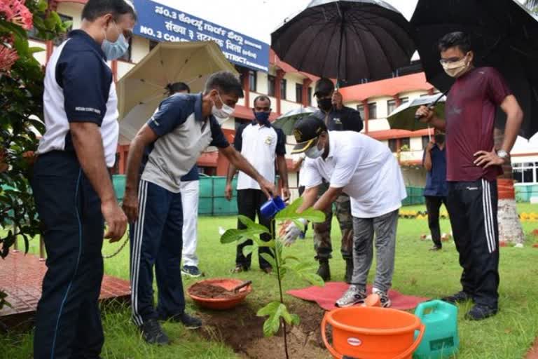 କର୍ଣ୍ଣାଟକରେ 300 ଗଛ ଲଗାଇଲେ ଭାରତୀୟ ତଟରକ୍ଷୀ ବାହିନୀ