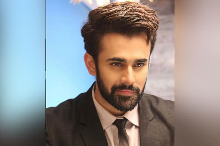 Pearl V Puri's alleged rape case: TV industry comes together to support actor