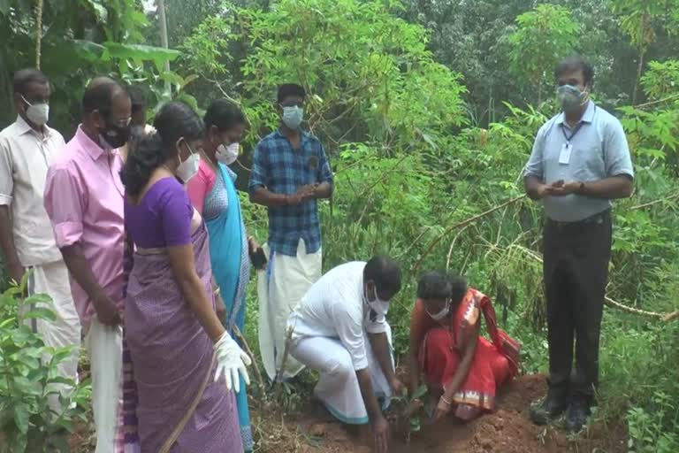 world environment day celebration  nedumangad krishi bhavan  ലോക പരിസ്ഥിതി ദിനം  നെടുമങ്ങാട് നഗരസഭാ  Nedumangad Municipality  world environment day celebration kerala