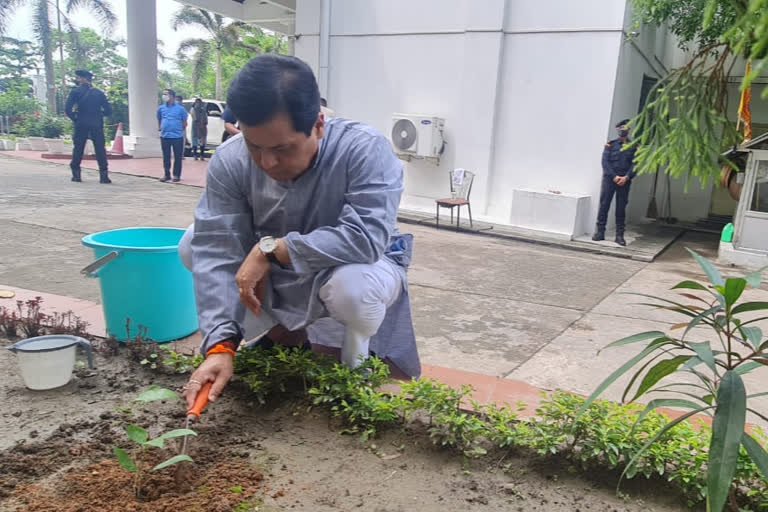 World Environment Day celebrated state over