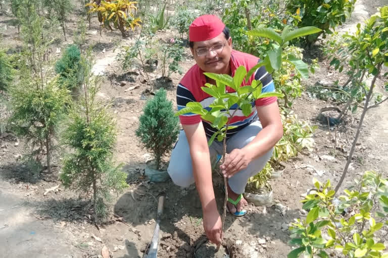 Plant trees on a large scale: Bilal Burney