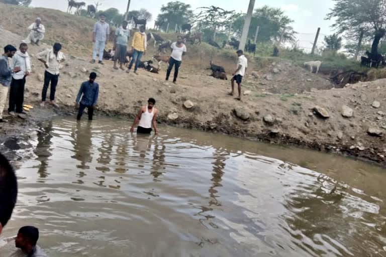 Two brothers died  farm pond  फार्म पोंड  भीलवाड़ा न्यूज  bhilwara news  दो भाइयों की मौत