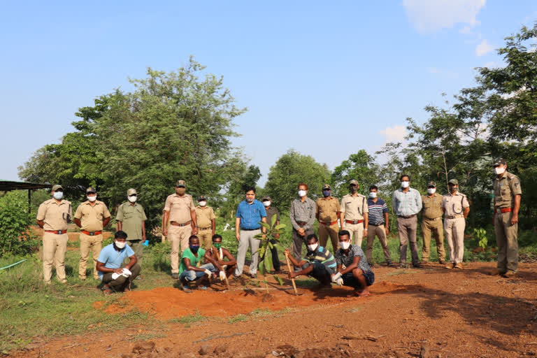 World Environment Day: ନନ୍ଦନକାନନ ପ୍ରାଣୀ ଉଦ୍ୟାନରେ ହେଲା ବୃକ୍ଷ ରୋପୋଣ