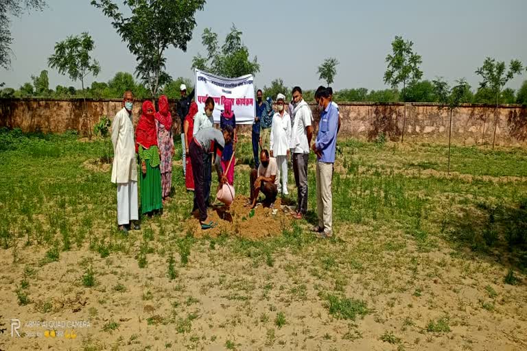 विश्व पर्यावरण दिवस, झुंझुनू में पौधरापण व कार्यशाला, झुंझुनू समाचार,  World Environment Day,  Plantation and Workshop in Jhunjhunu