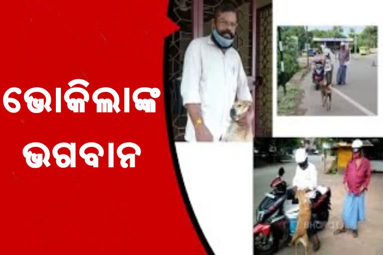 Interesting story:  ପଶୁଙ୍କ ଦରଦୀ ବନ୍ଧୁ ରାଜେଶ , ନିତି  ଖୁଆନ୍ତି ବିରିୟାନୀ