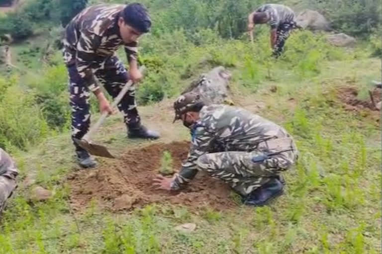 ssb-7th-bn-organised-plantation-drive-on-the-eve-of-environmental-day