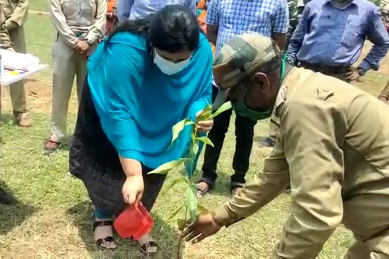 বাড়ি বা বহুতল তৈরিতে মানতে হবে বনদফতরের নির্দেশিকা