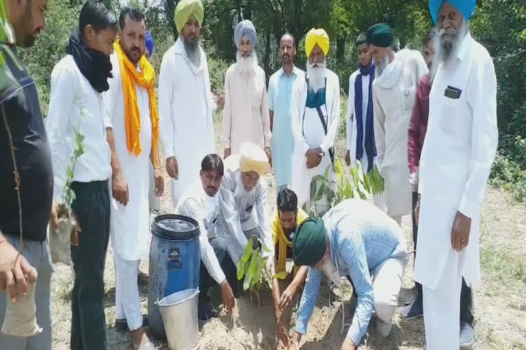 World Environment Day: ਪੰਜਾਬ ਸਰਕਾਰ ਨੇ ਮਹਿਜ਼ 67 ਲੱਖ ਰੁਪਏ ਦੇ ਬਦਲੇ ਵੇਚੀ ਕਰੋੜਾਂ ਰੁਪਏ ਦੀ ਆਕਸੀਜਨ