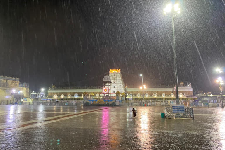 heavy rain at tirumala