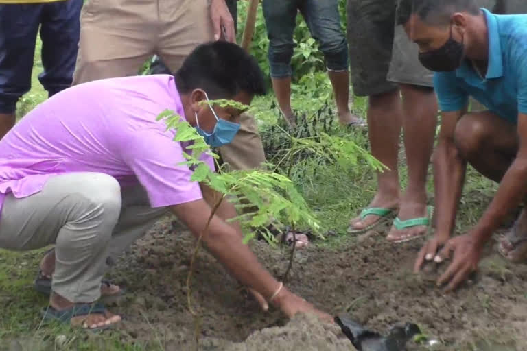 World Environment Day celebrated by various groups including absu in Odalguri