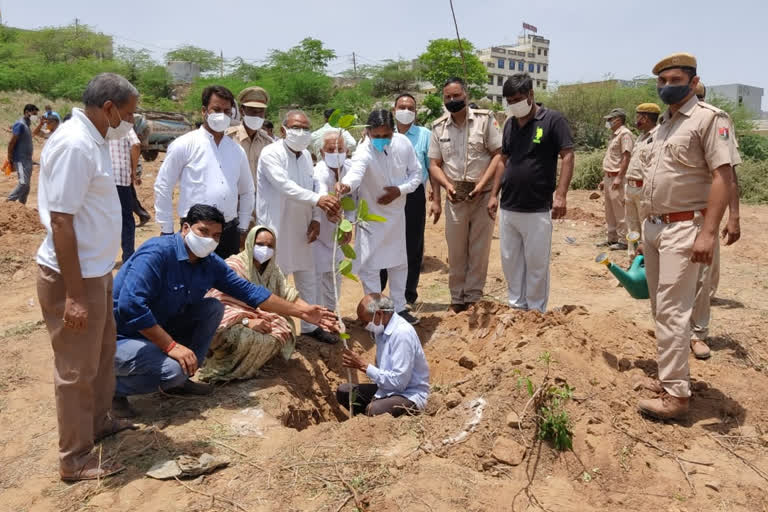 Plantation on Environment Day, Oxygen Park in Amer