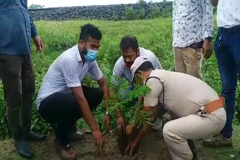 world environment day