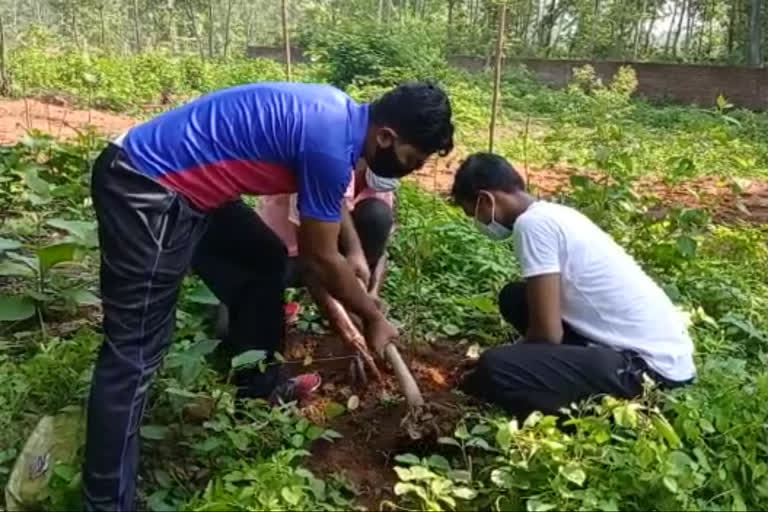 সোনামুখীতে বৃক্ষরোপনের মধ্য দিয়ে বিশ্ব পরিবেশ দিবস পালন