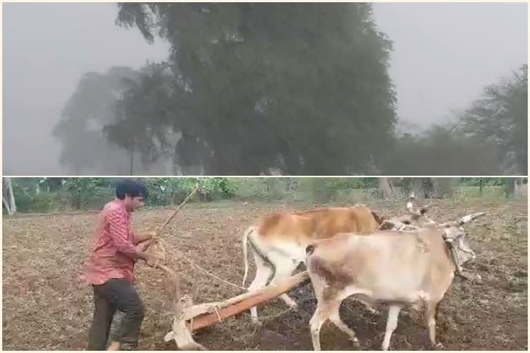 farmers waiting to sow