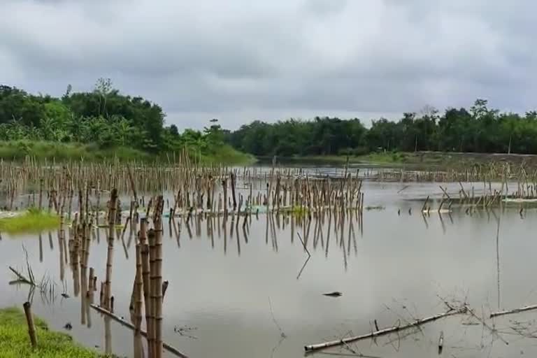 As_rangia_rangiya-bagribari-puthimari-river-bandh-construction-vis-AS10040