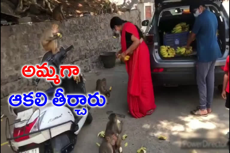 A woman who satisfies the hunger of monkeys