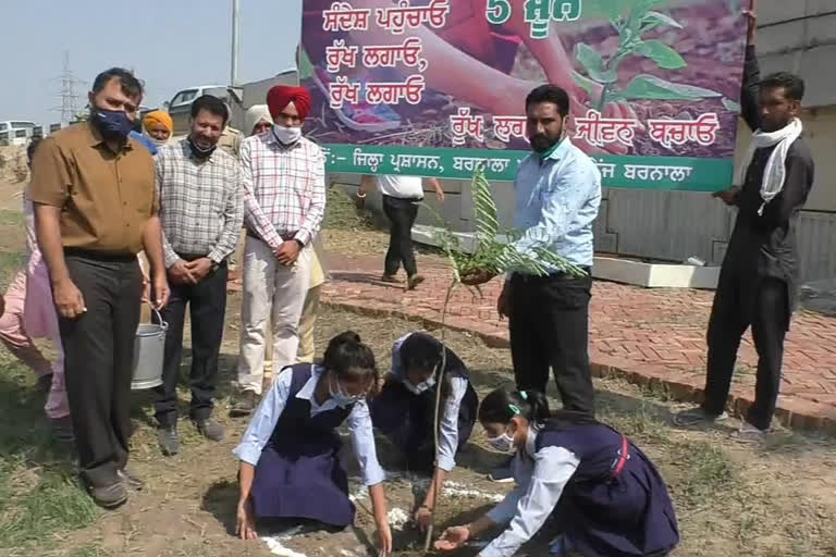 World Environment Day: ਸਕੂਲੀ ਵਿਦਿਆਰਥੀਆਂ ਨੇ ਲਗਾਏ ਪੌਦੇ