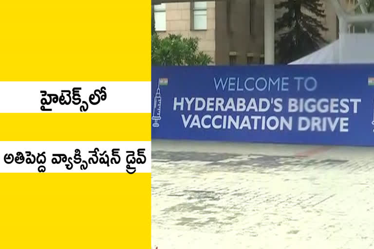 The process of vigorous distribution of vaccines in the state