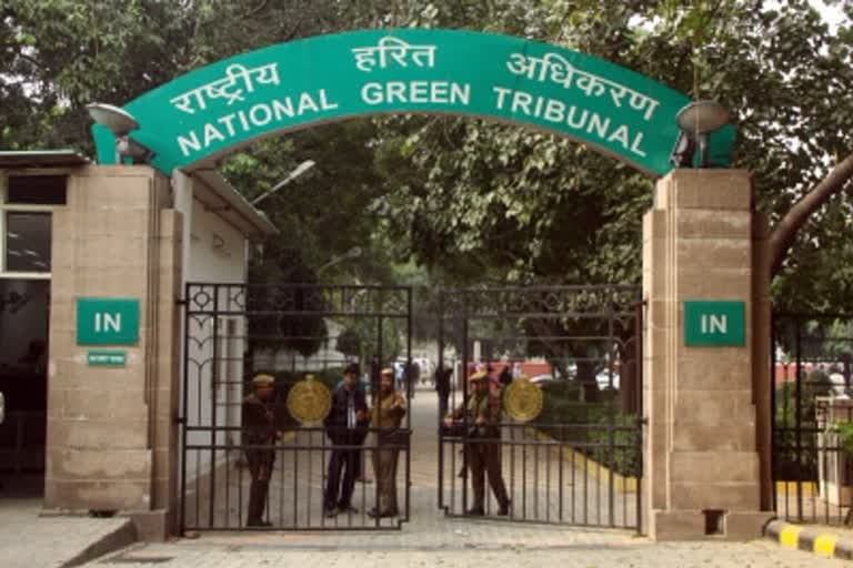 PIL filed in NGT Bhopal against diamond mine in Buxwaha