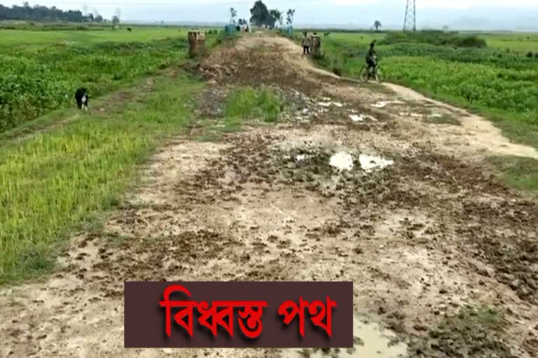 35 বছৰে নিৰ্মাণ অসম্পূৰ্ণ বঢ়মপুৰৰ এটা বিধস্ত পথৰ