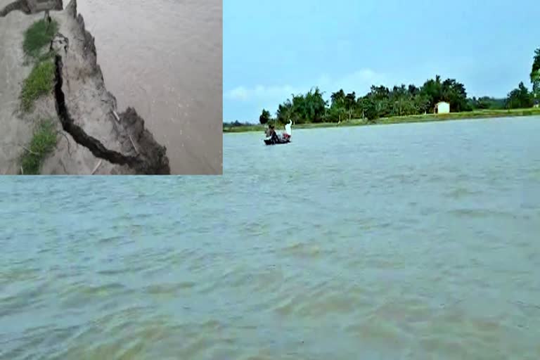 brahmaputra erosion in morigaon nij saharia