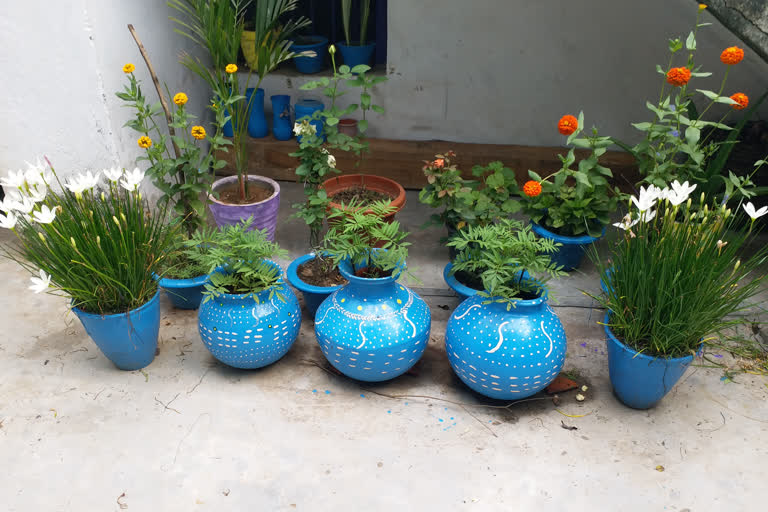 two sisters made beautiful garden from waste material in hazaribag