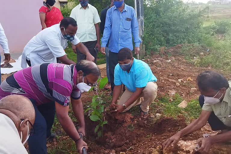 Environment Day Celebration in Hubli