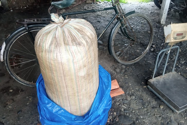 25 kg ganja seized in mazbat