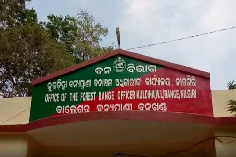 ଶିକାରୀ ଗୁଳିରେ ନାବାଳକ ଗୁରୁତର