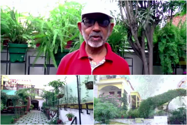 ഹരിത സമ്പന്നം  green house  house with thousand plants  oxygen shortage  vedh prakash vij  plants for oxygen  tree lovers india  nature stories