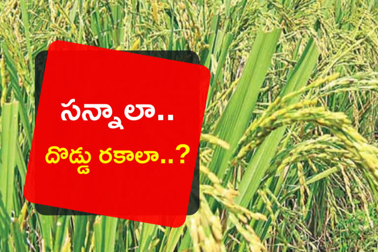 kharif crops ,kharif crops in telangana