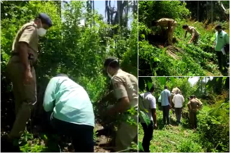 മുട്ടിൽ മരംമുറി സംഭവം  വയനാട്‌  വയനാട്ടില്‍ മരം മുറിച്ചു  പൊലീസ് തെളിവെടുപ്പ്  സുൽത്താൻ ബത്തേരി ഡിവൈഎസ്‌പി വി.വി. ബെന്നി  ഡിവൈഎസ്‌പിയുടെ നേതൃത്വത്തില്‍ അന്വേഷണം  wayanad forest  allegation against forest ministry  kerala forest department  മരംമുറി വിവാദം