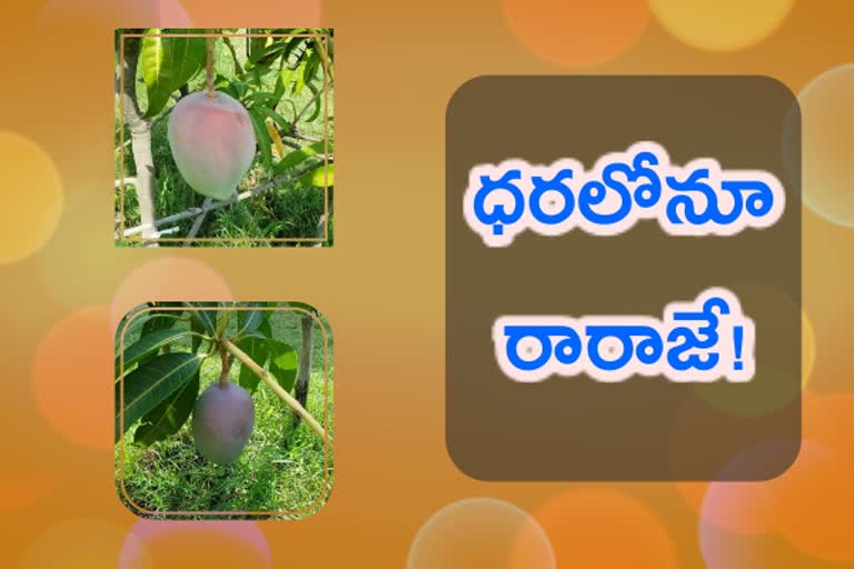 world most expensive mango, ప్రపంచంలోనే ఖరీదైన మ్యాంగో