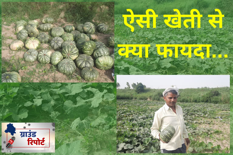 vegetable farmer facing financial problem