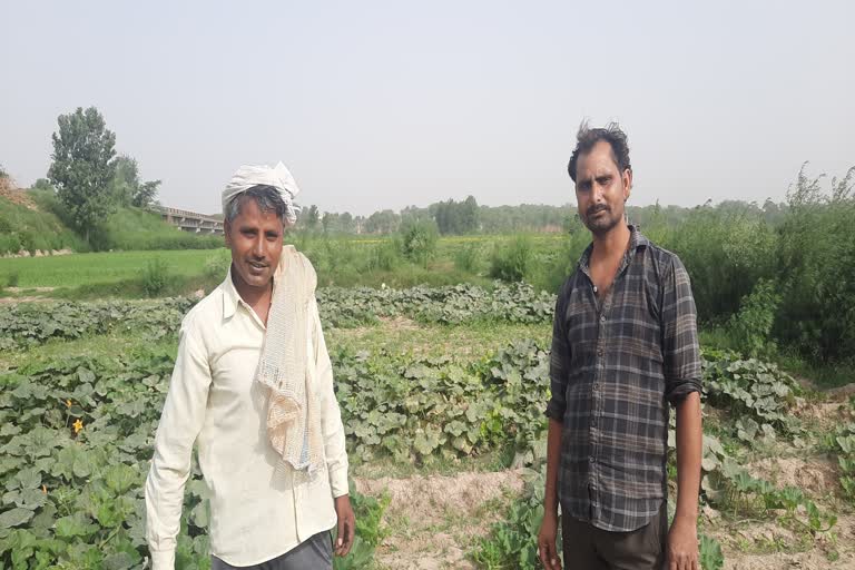 farmers-opinion-on-agricultural-law-after-about-one-year-ghaziabad