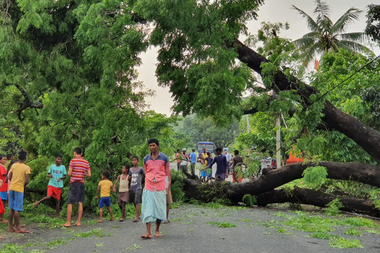 One person died in Pakur due to lightning