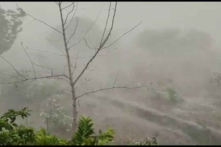 Two hours of torrential rain in Yavatmal