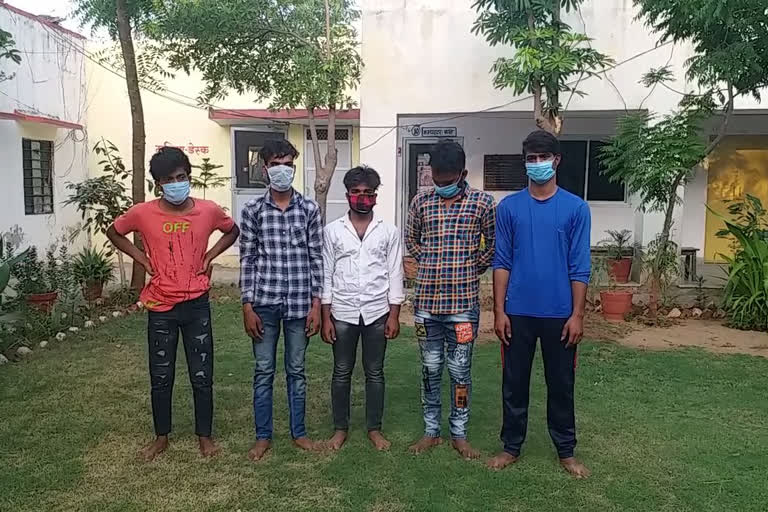 youths arrested  rajasthan latest news