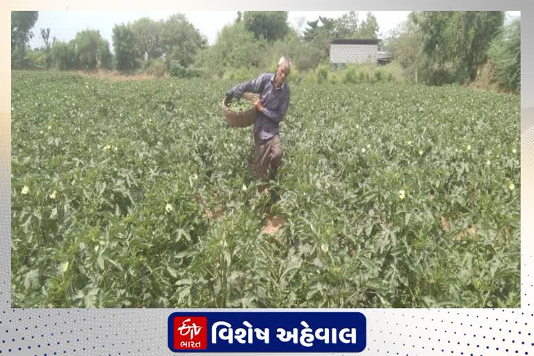 ખેડૂતોની હાલત કફોડી