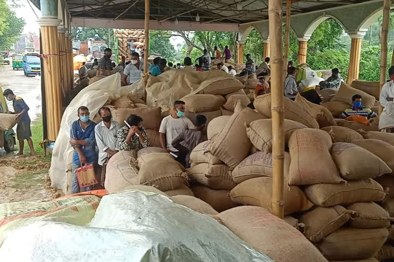 tripura government has set a target of procuring 20,000 Metric Ton paddy directly from the farmers