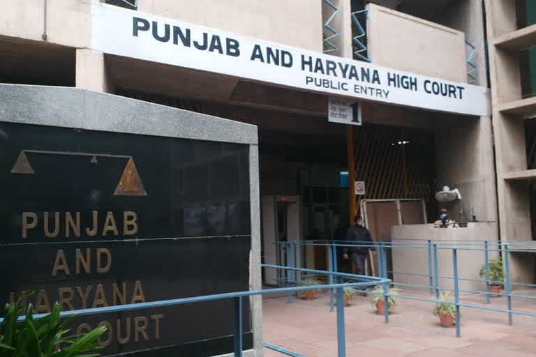 ਲਿਵ ਇਨ ਰਿਲੇਸ਼ਨ ਮਾਮਲਾ:Highcourt ਵਲੋਂ ਐੱਸਐੱਸਪੀ ਫਰੀਦਕੋਟ ਨੂੰ ਨਿਰਦੇਸ਼ ਜਾਰੀ