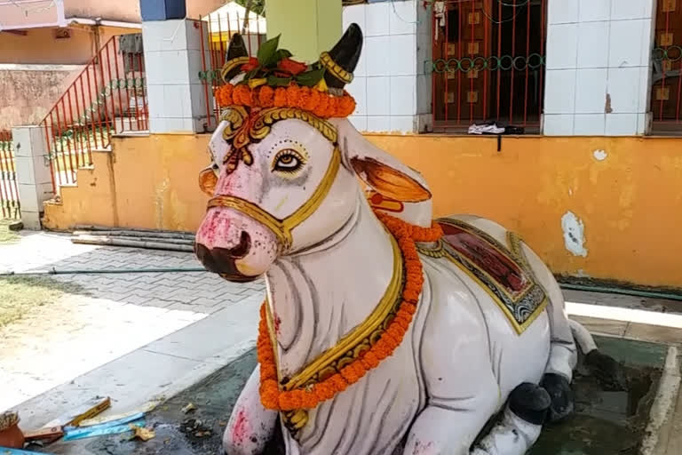 Chadak Puja tradition in Seraikela is 203 years old, People prick needles in body in worship