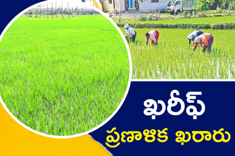 kharif cultivation