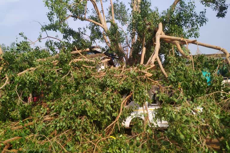 Heavy rain in Rajnandgaon on June 8