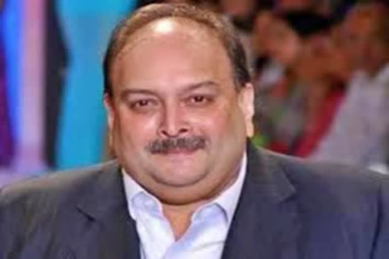 Mehul Choksi