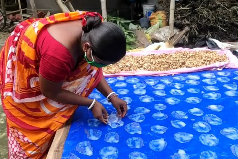 women make pickles and papad with mushrooms in chopra north dinajpur