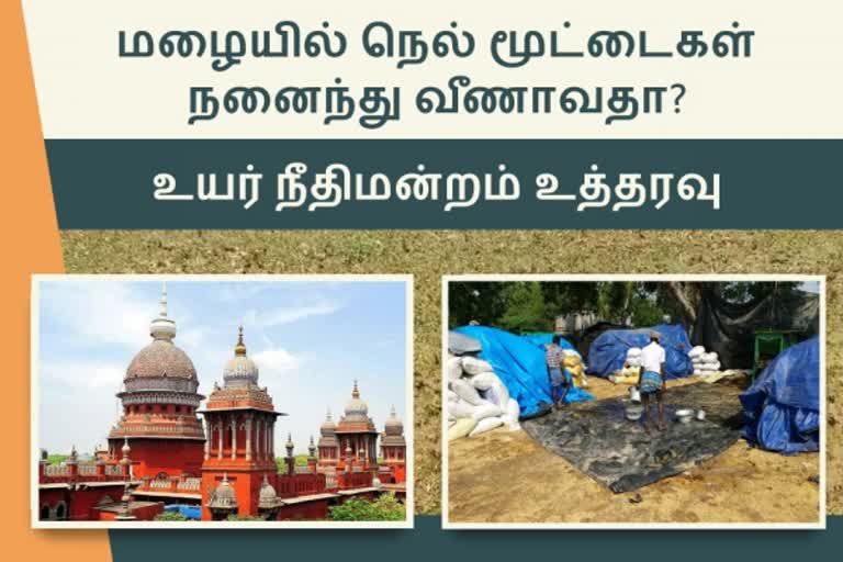 மழையில் நெல் மூட்டைகள் நனைவதை தடுக்க உத்தரவு